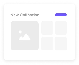 Collection Launch
